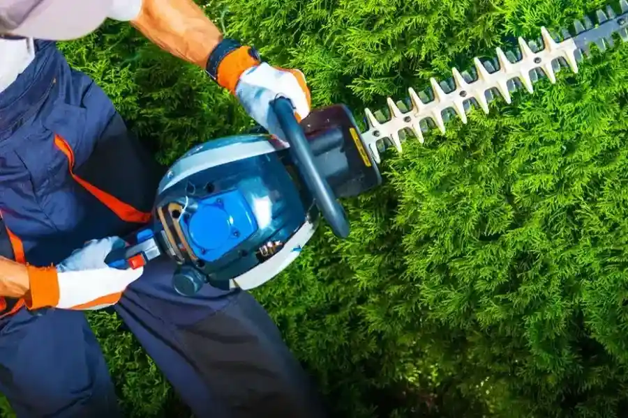 Affordable Shrub Trimming Six Lakes, MI Affordable Shrub Trimming Six Lakes, MI