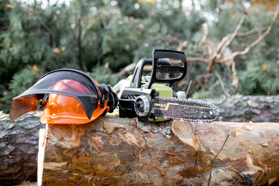 How Tree Cutting Enhances Property Safety And Aesthetics Six Lakes, MI How Tree Cutting Enhances Property Safety And Aesthetics Six Lakes, MI