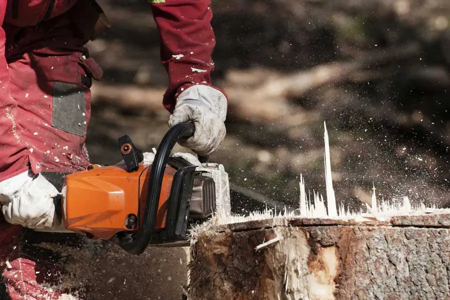 Tree Cutting